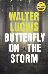 butterfly on the storm